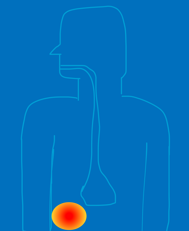 A vision for healing of back pain.